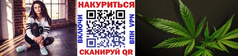 закладка  Шуя  Бошки марихуана ГИДРОПОН 